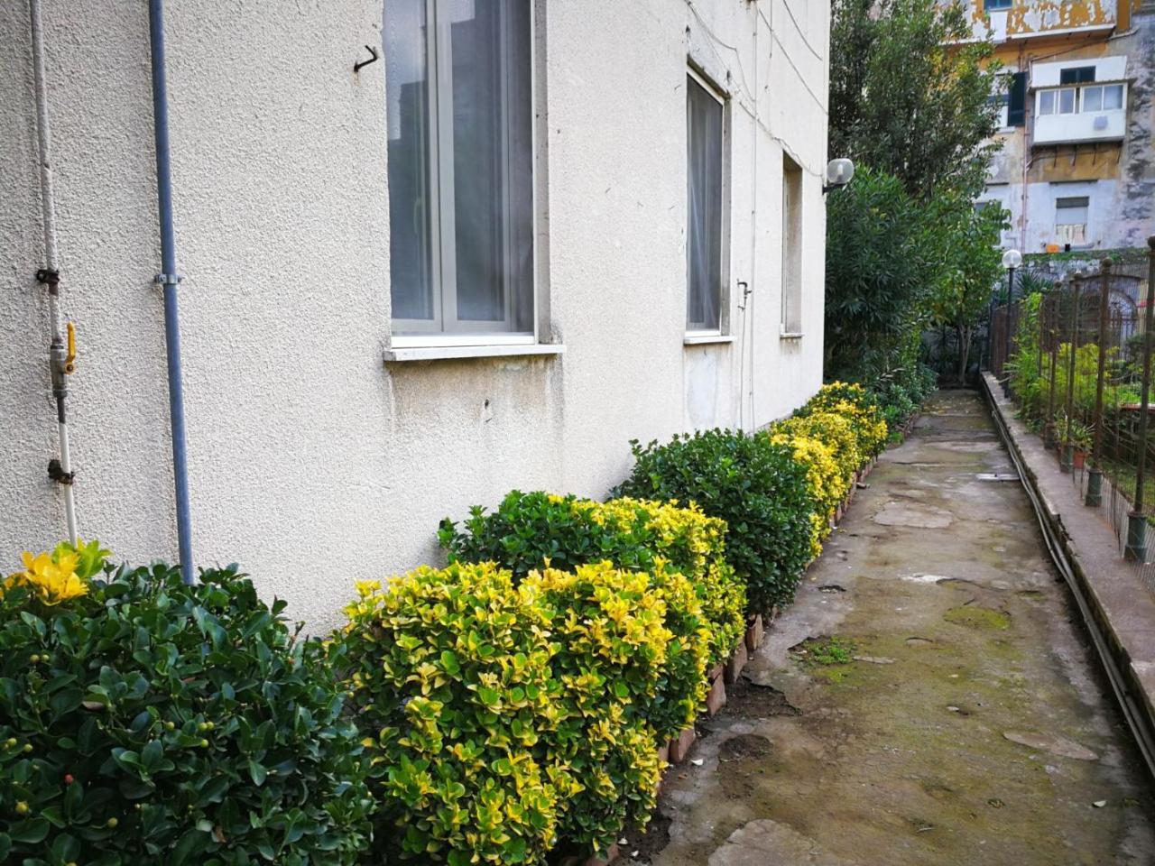 Il Giardino Di Vico Neve Bed & Breakfast Napoli Dış mekan fotoğraf