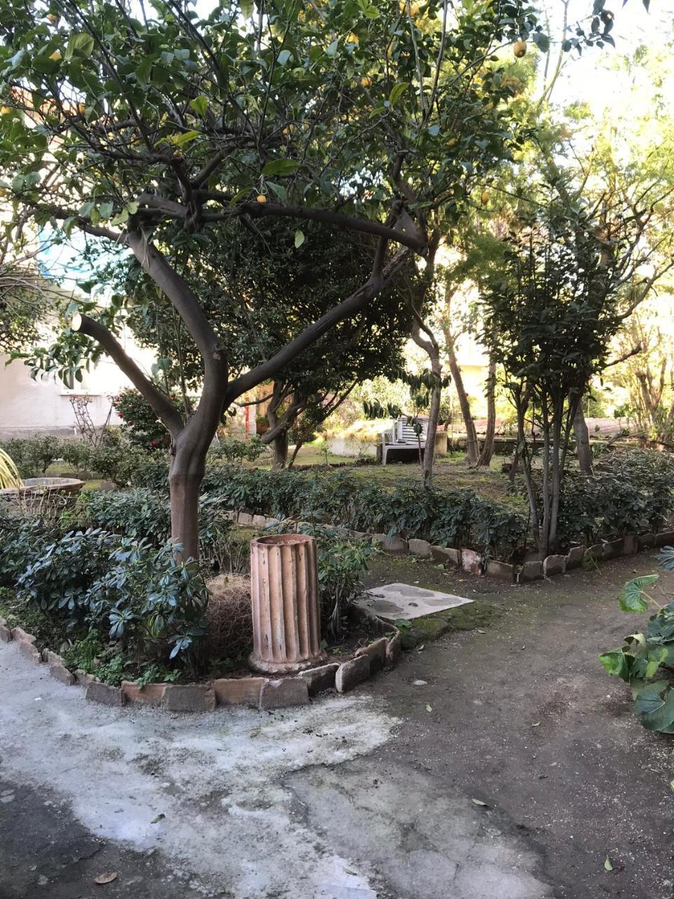 Il Giardino Di Vico Neve Bed & Breakfast Napoli Dış mekan fotoğraf
