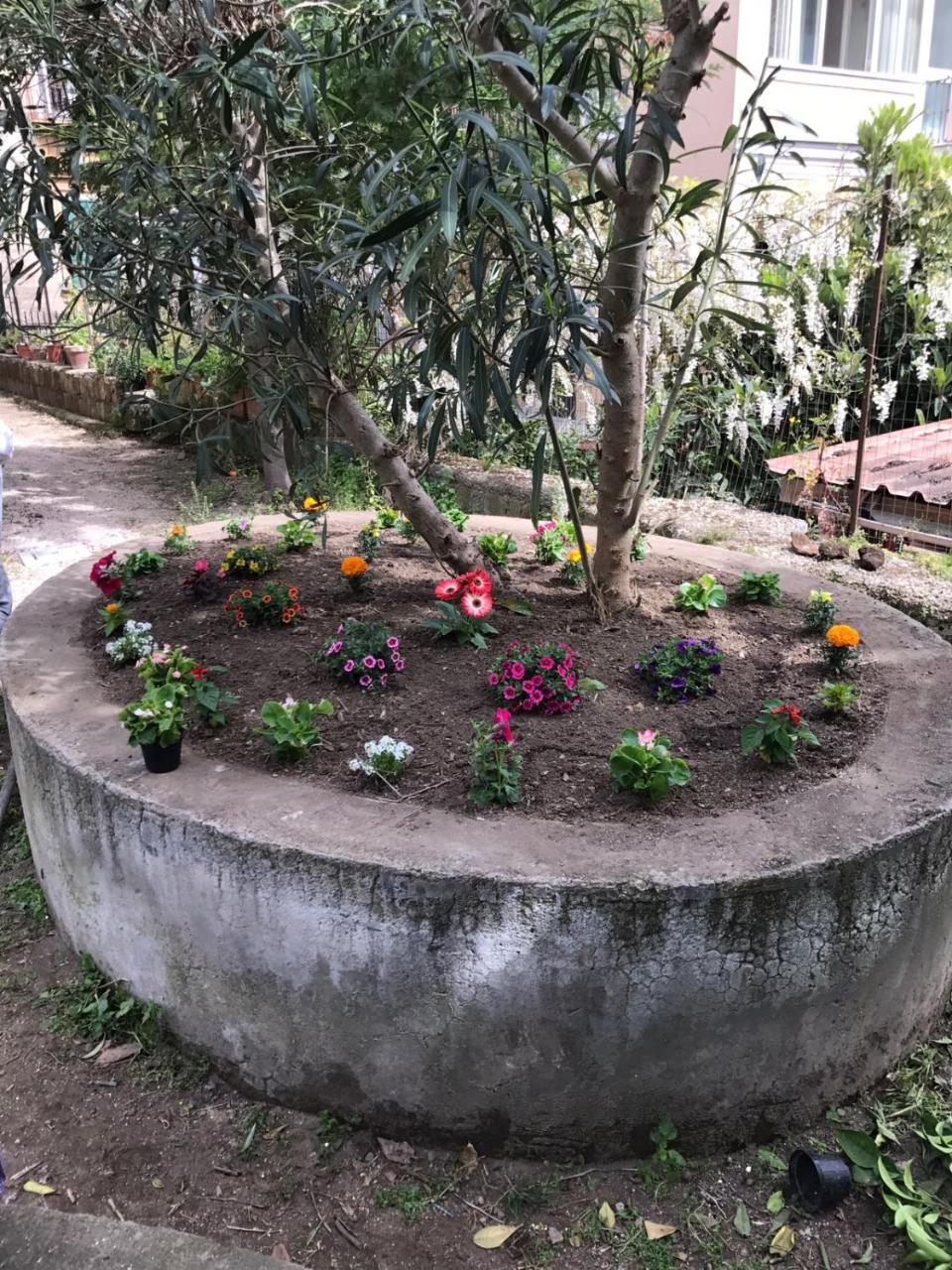 Il Giardino Di Vico Neve Bed & Breakfast Napoli Dış mekan fotoğraf