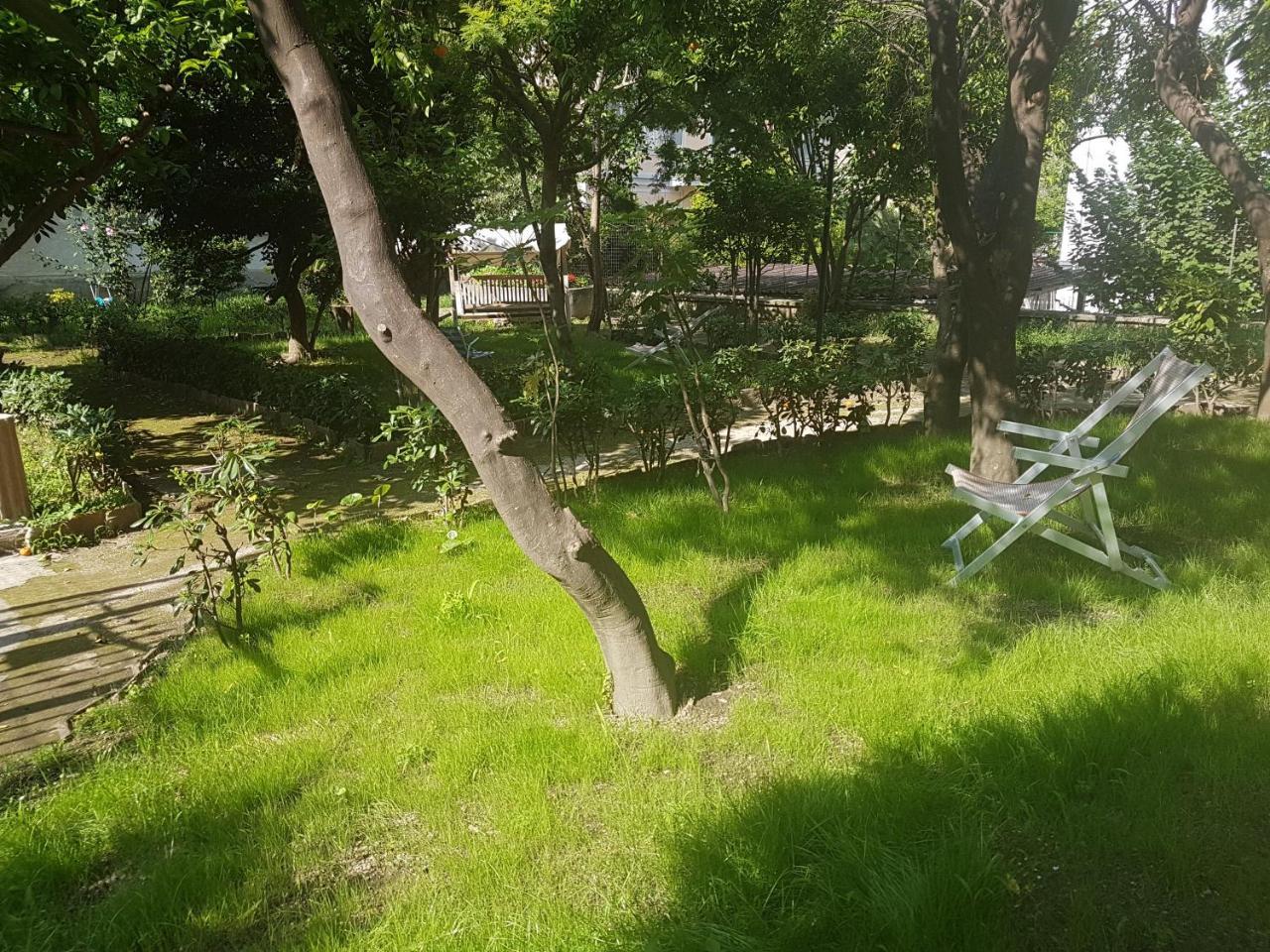Il Giardino Di Vico Neve Bed & Breakfast Napoli Dış mekan fotoğraf
